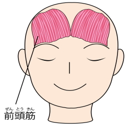 前頭筋の痛み 前頭筋の痛み