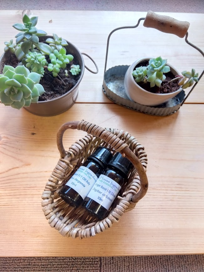 植物と精油が飾られた院内の様子